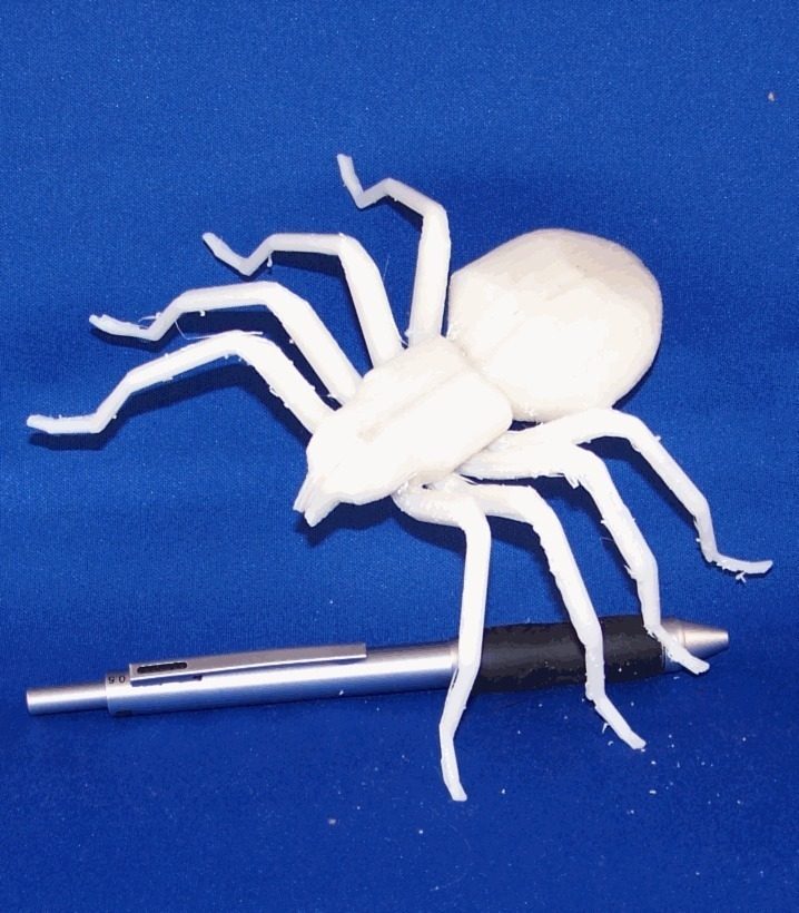 大号蜘蛛 by 韩雪儿 3D打印模型