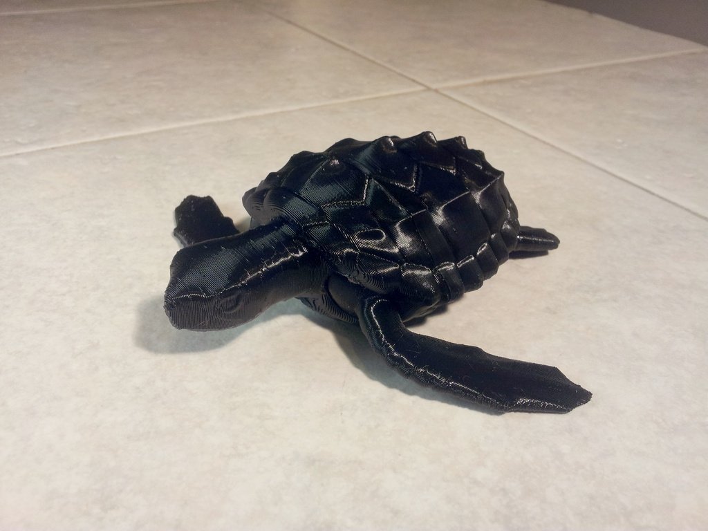 海龟模型 by 九十九道弯弯 3D打印模型