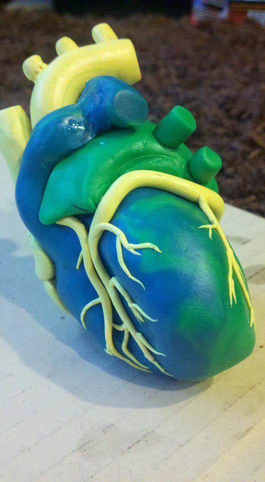 心脏模型 by yankee 3D打印模型