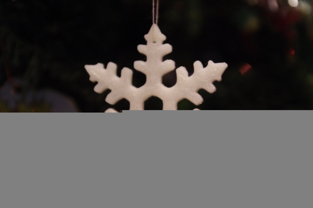 圣诞雪花装饰 by 团结就是力量 3D打印模型