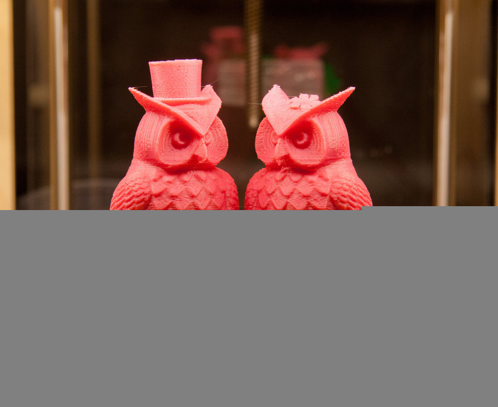 Mr 和 Miss 猫头鹰 by 魔猴网 3D打印模型