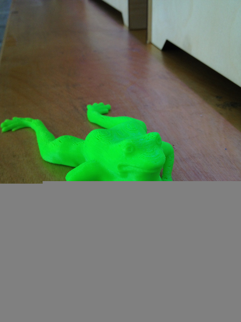 青蛙Flippy  by 就是我就是我就是我 3D打印模型
