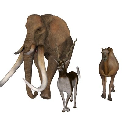 现代大象骆驼山羊su模型