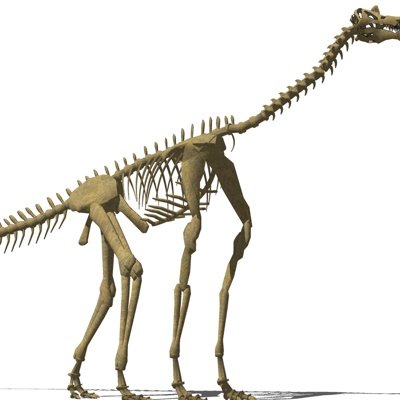 现代恐龙化石摆件su模型