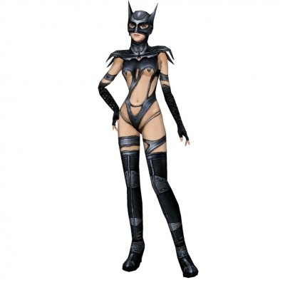 现代蝙蝠侠猫女su模型