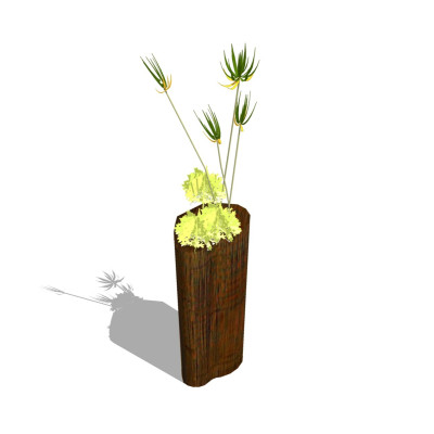 自然风实木花瓶su模型