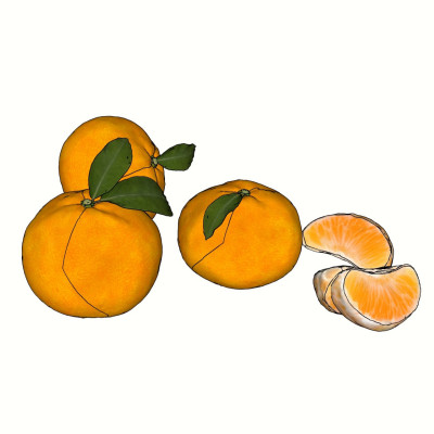 现代橘子水果su模型