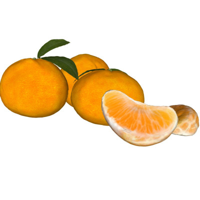 现代水果橙子su模型