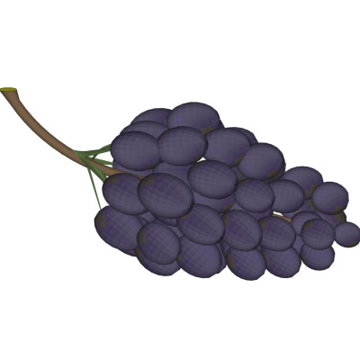 现代水果葡萄su模型