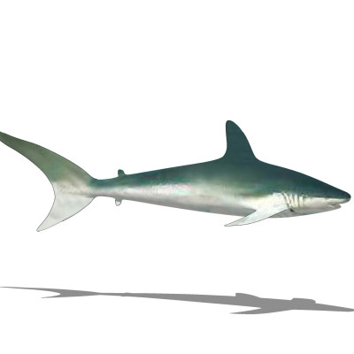 现代鲨鱼su模型