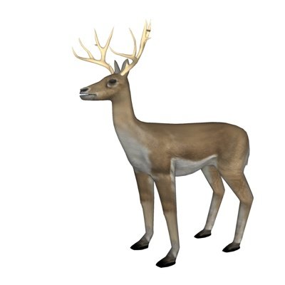 北欧驯鹿标本su模型