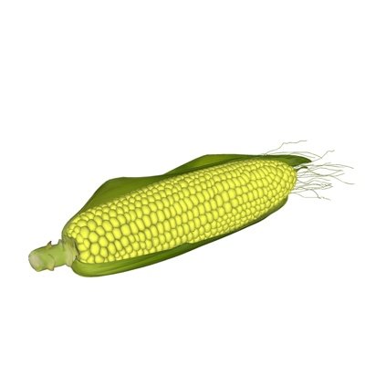 现代玉米su模型
