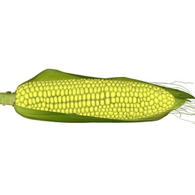 现代玉米蔬菜su模型