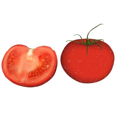 现代西红柿蔬菜su模型